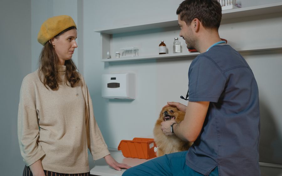 Un veterinario atendiendo a un perro junto a su dueña